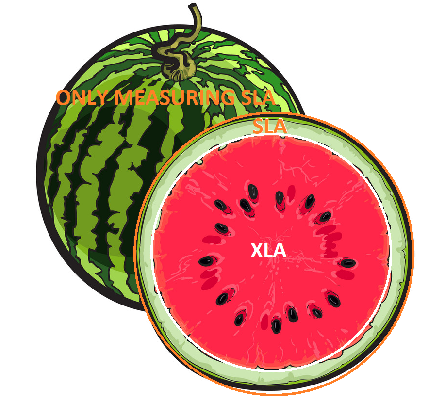 Webropol blog, how watermelons can help you to improve the performance of your service organization.